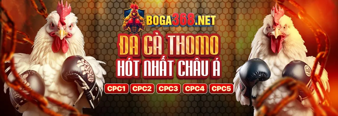 Cẩm nang cá cược có trách nhiệm